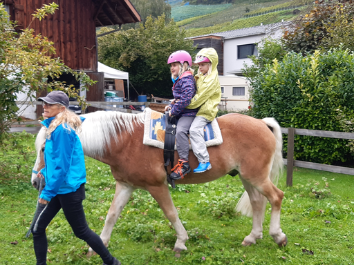 Erster Kontakt mit dem Pferd