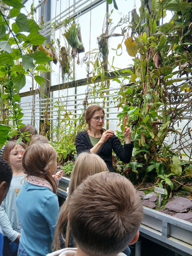 Fleischfressende Pflanzen