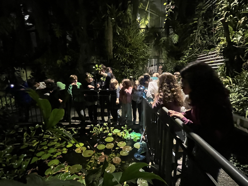 Nachts im Tropenhaus