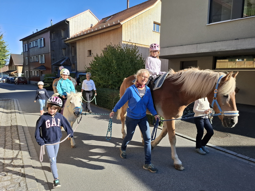 Erster Kontakt mit dem Pferd