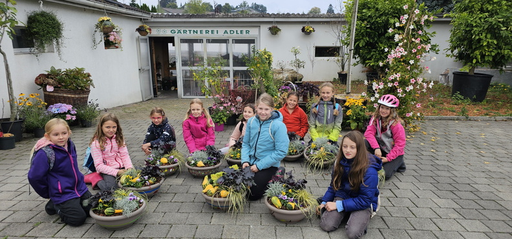 Gestalte deine Herbstschale